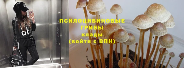 соль ск Абдулино