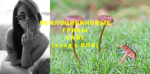 соль ск Абдулино