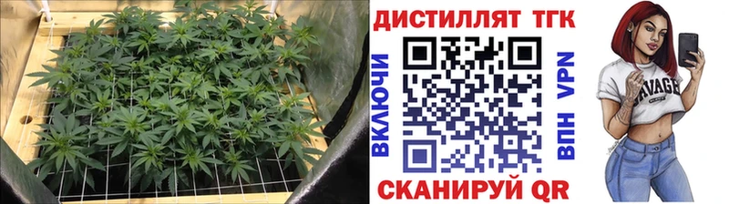 ТГК концентрат дарнет шоп Хилок