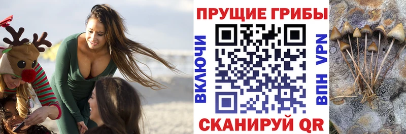 Галлюциногенные грибы мицелий  Хилок 